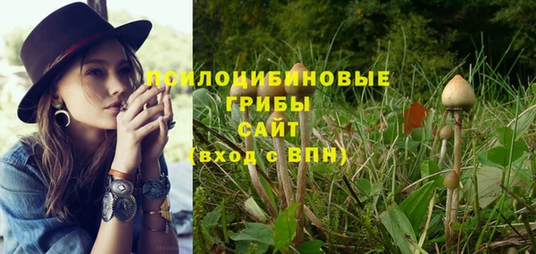 сатива Нефтегорск