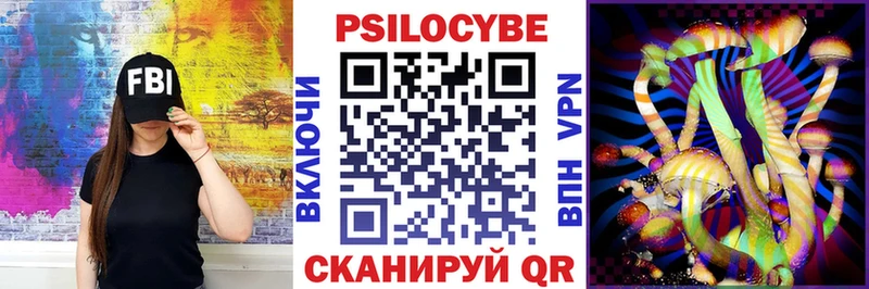 наркошоп  Починок  darknet Telegram  Галлюциногенные грибы Psilocybe 